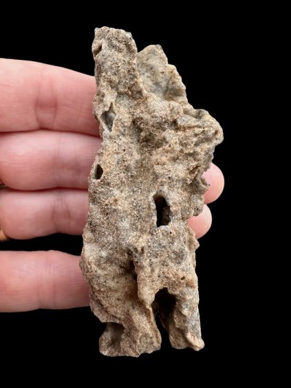 Photoroom 000 20250318 191511