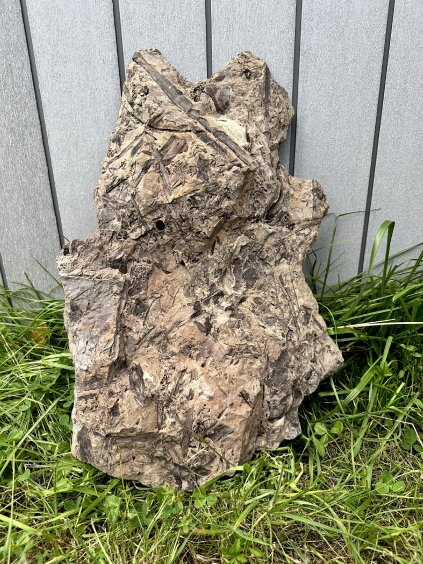 Fossile Flora – Most, CZ