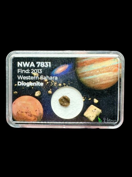 Meteorite NWA 7831 – Western Sahara