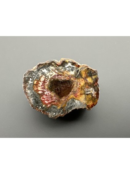 Versteinertes Holz "Araukarit" – Madagaskar