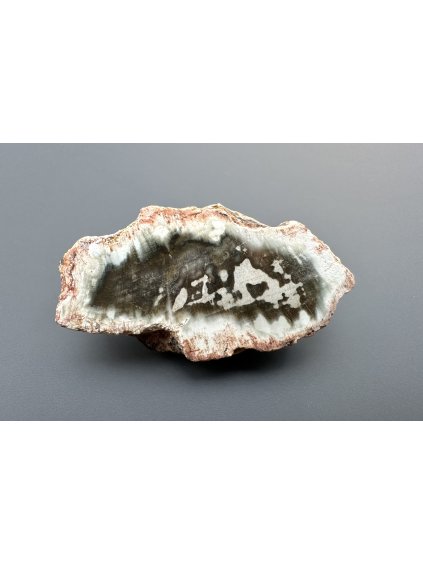 Versteinertes Holz "Araukarit" – Madagaskar