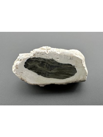 Versteinertes Holz "Araukarit" – Madagaskar