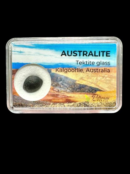 Australit "Knopf" in der Box 0,68g – Kalgoorlie, Westaustralien