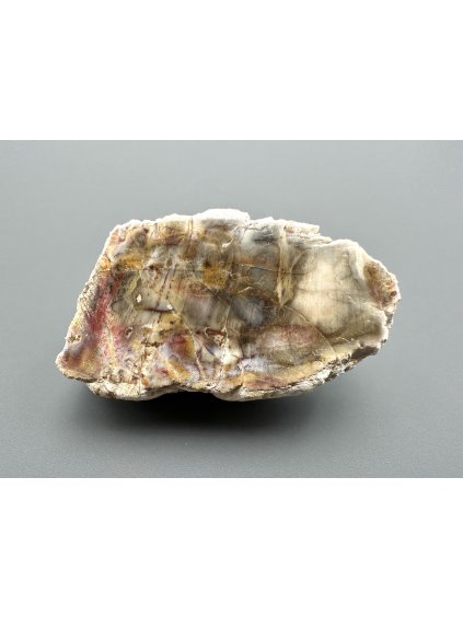 Versteinertes Holz "Araukarit" – Madagaskar