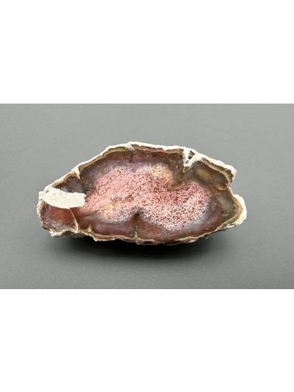 Versteinertes Holz "Araukarit" – Madagaskar