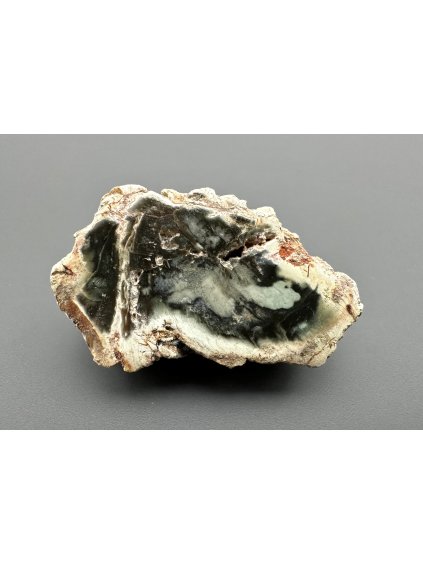 Versteinertes Holz "Araukarit" – Madagaskar