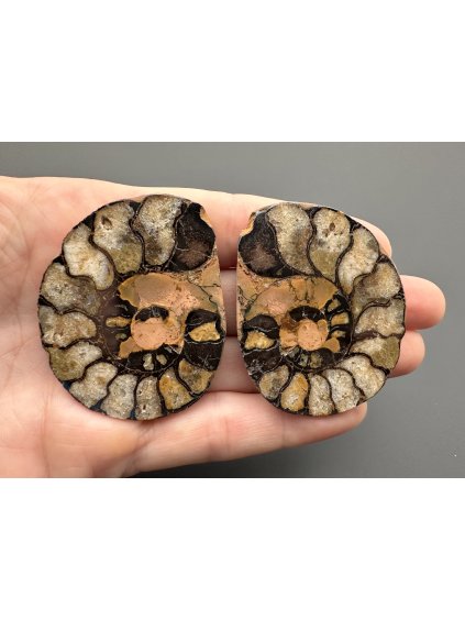 Amonit (pár) 5cm a 4,9cm – Maroko