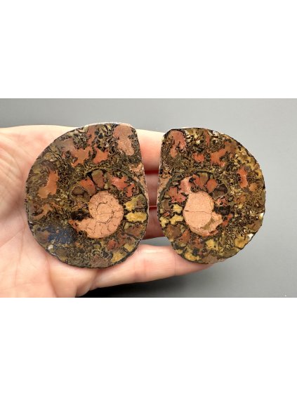 Amonit (pár) 5,7cm a 5,7cm – Maroko