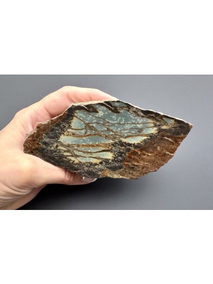 Porcellanite – Most, CZ