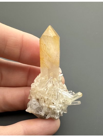 Crystal Mango – Cabiche, Quipama, Colombia