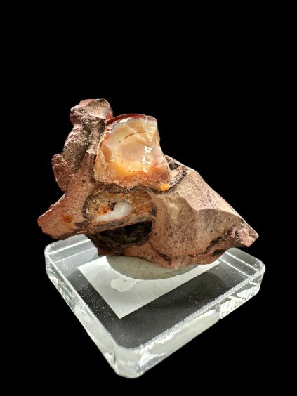 Photoroom 023 20251219 092151