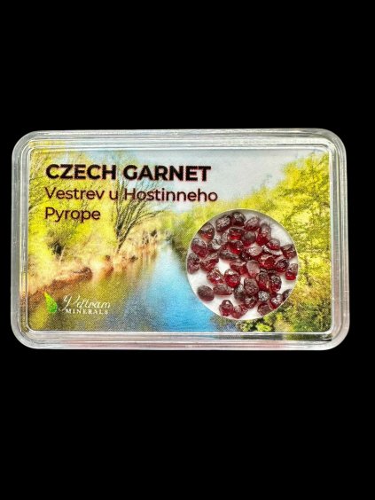 Böhmischer Granat (pyrop) in der Box – Vestrev u Hostinneho, CZ