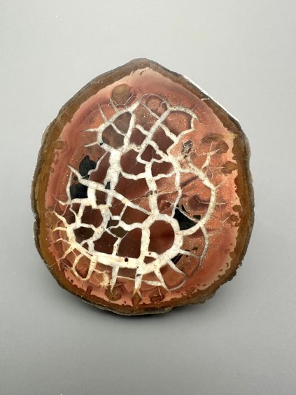 Septarie – Oujda, Marokko