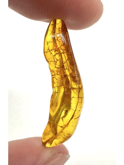 Insects in amber – Lithuania