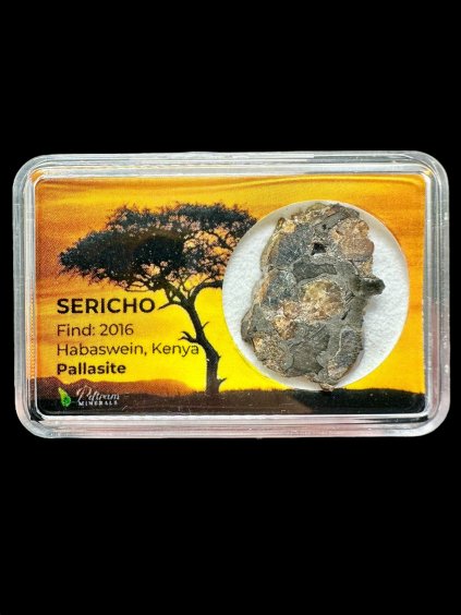 Sericho Pallasite Meteorite 3,5g – Kenya