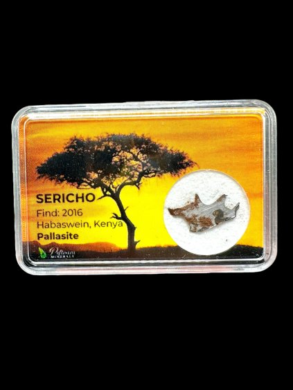 Meteorit Pallasit Sericho 0,3g – Keňa