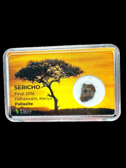 Meteorit Pallasit Sericho – Keňa