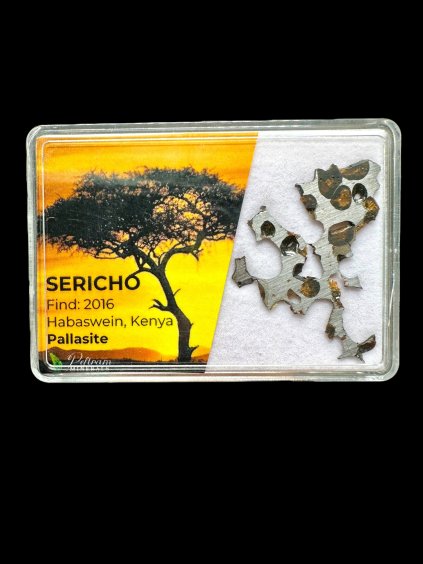 Meteorit Pallasit Sericho – Kenia