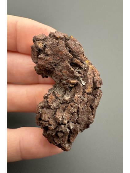 Koprolith 4,3cm – Marovato, Madagaskar, CZ