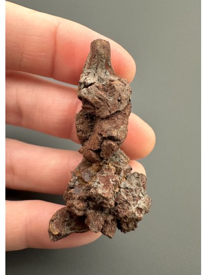 Koprolit 4,8cm – Marovato, Madagaskar