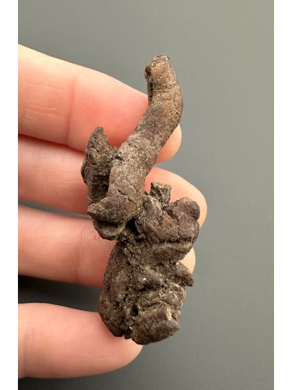 Koprolit 5,1cm – Marovato, Madagaskar