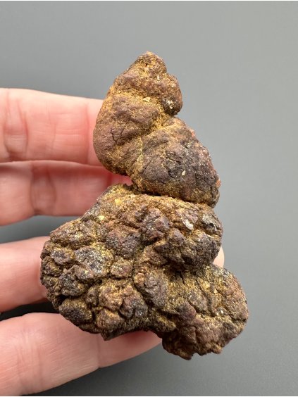 Koprolit 5,7cm – Marovato, Madagaskar