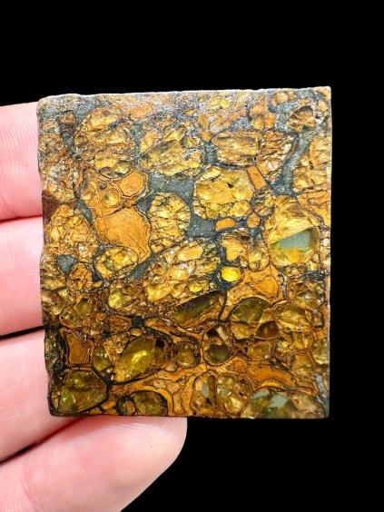 Meteorit Pallasit Jepara – Java, Indonesien