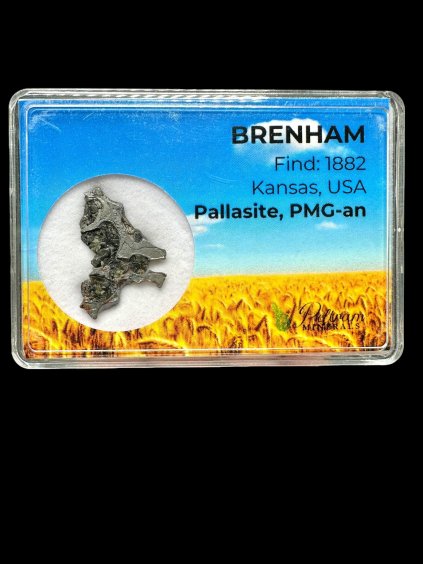 Meteorit Pallasit Brenham – Kansas, USA
