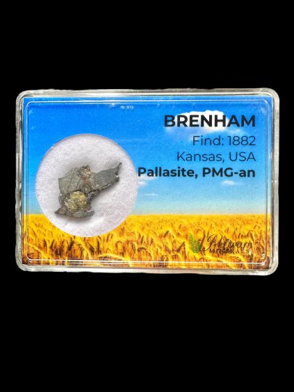 Meteorit Pallasit Brenham – Kansas, USA