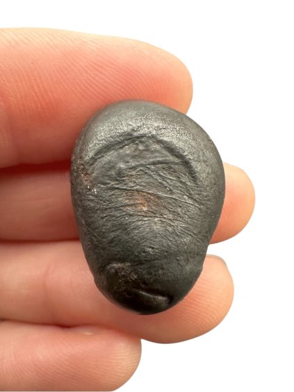 Meteorit Sikhote Alin – Rusko