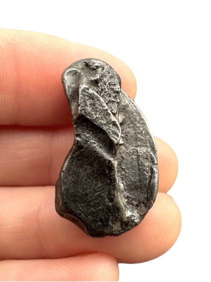 Meteorite Sikhote Alin – Russia