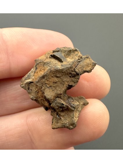 Meteorit Pallasit Sericho – Kenia