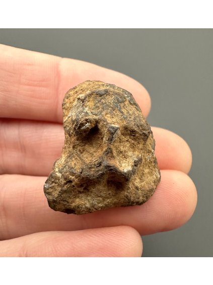 Meteorit Pallasit Sericho – Kenia