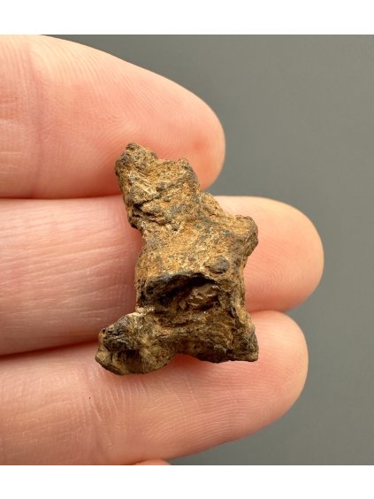 Sericho Pallasite Meteorite – Kenya