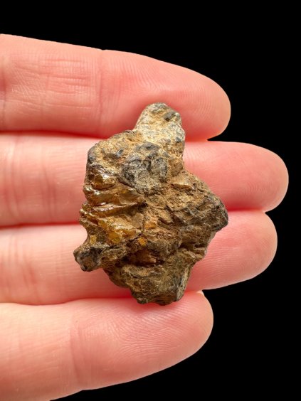 Photoroom 000 20251104 175213