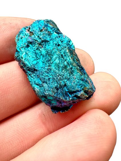 Photoroom 010 20241113 175007