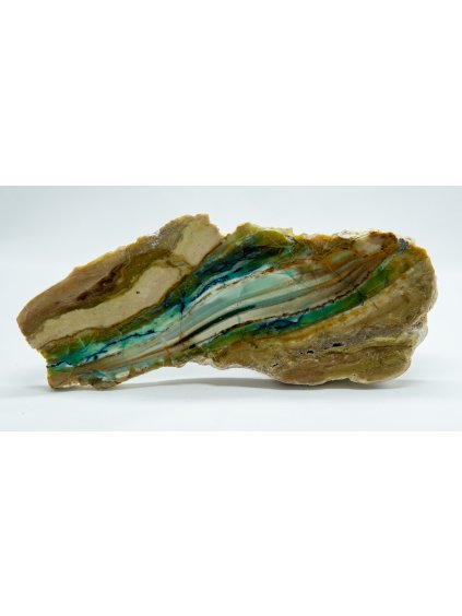 Versteinertes opalisiertes Holz – Westjava, Indonesien