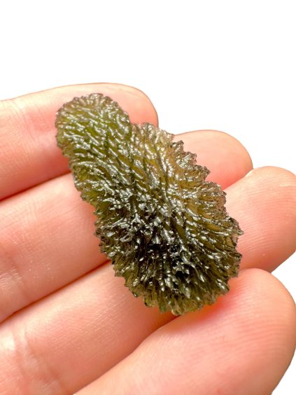 466926421 3857068071200814 15867095438202225 n