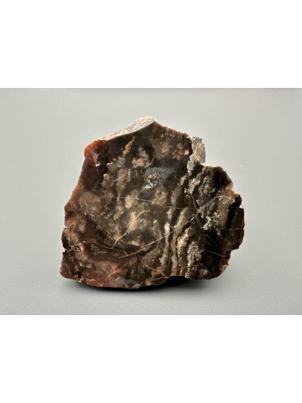 Versteinertes Holz – Line, CZ