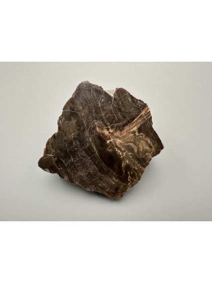 Petrified wood  – Line, CZ