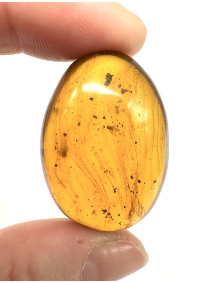 Hmyz v jantaru – Hukawng, Myanmar