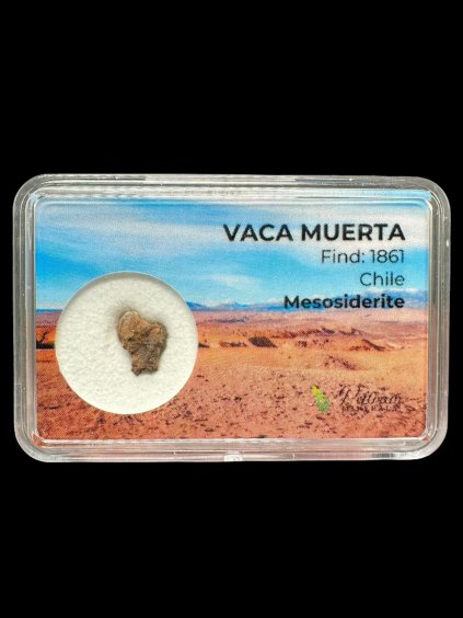Meteorite Vaca Muerta – Chile