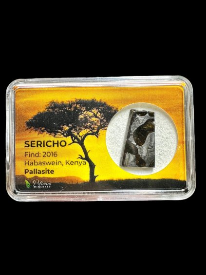 Meteorit Pallasit Sericho – Kenia