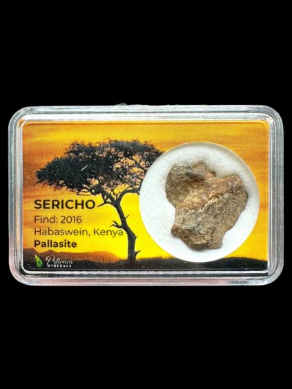 Sericho Pallasite Meteorite – Kenya