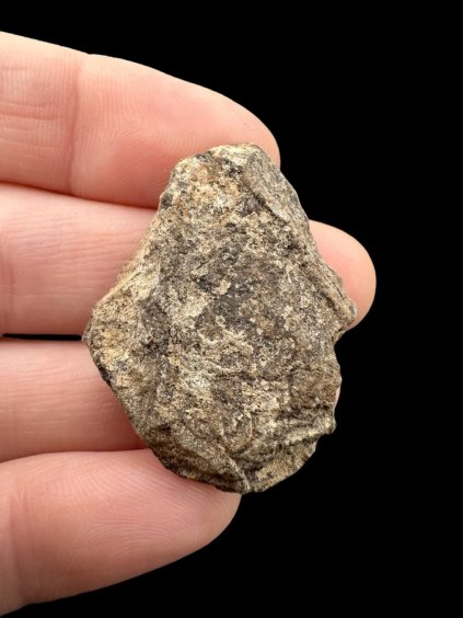 Meteorite Al Haggounia 001 – Western Sahara