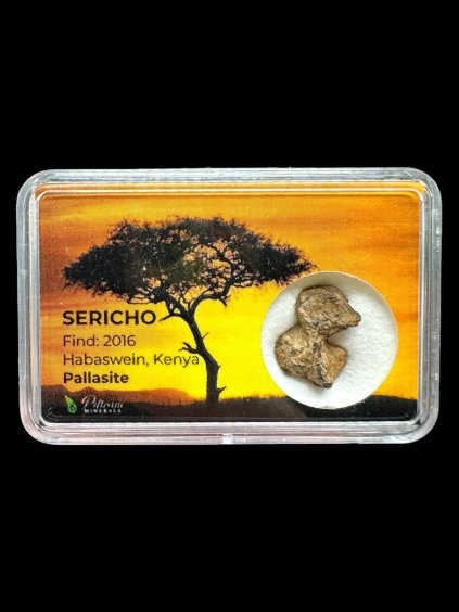 Meteorit Pallasit Sericho – Kenia