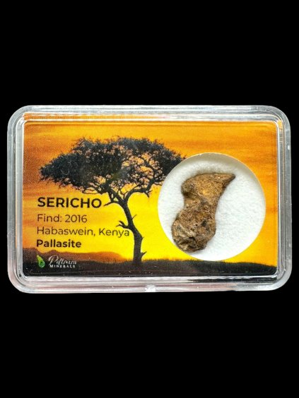 Sericho Pallasite Meteorite – Kenya