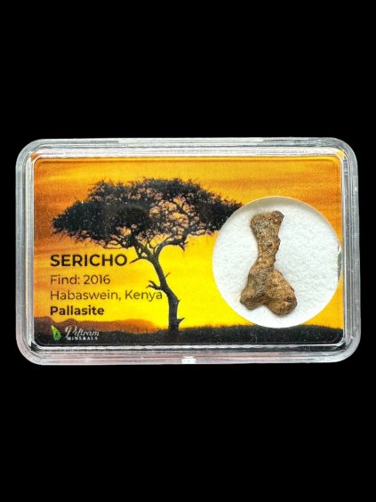 Meteorit Pallasit Sericho – Keňa