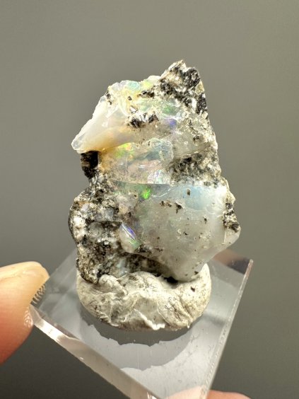 Edelopal – Dubnik, Slowakei