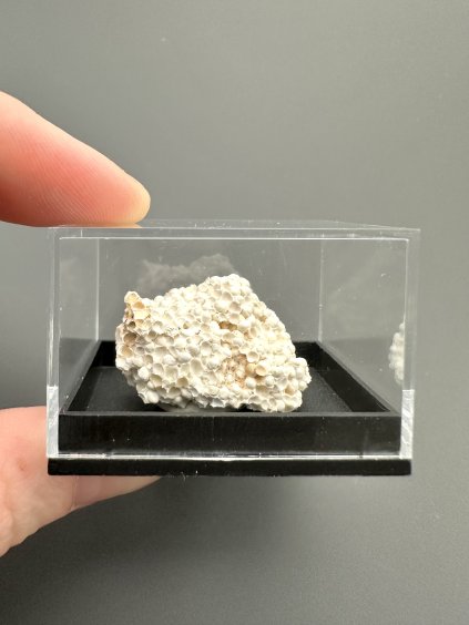 Aragonite variety Hrachovec – Karlovy Vary, CZ